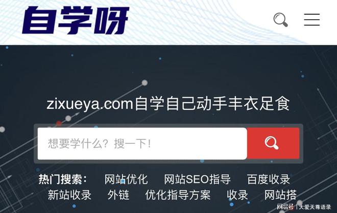 BD半島網(wǎng)址企業(yè)建站讓流量真正落地！自學(xué)呀建站專注SEO排名網(wǎng)站建立